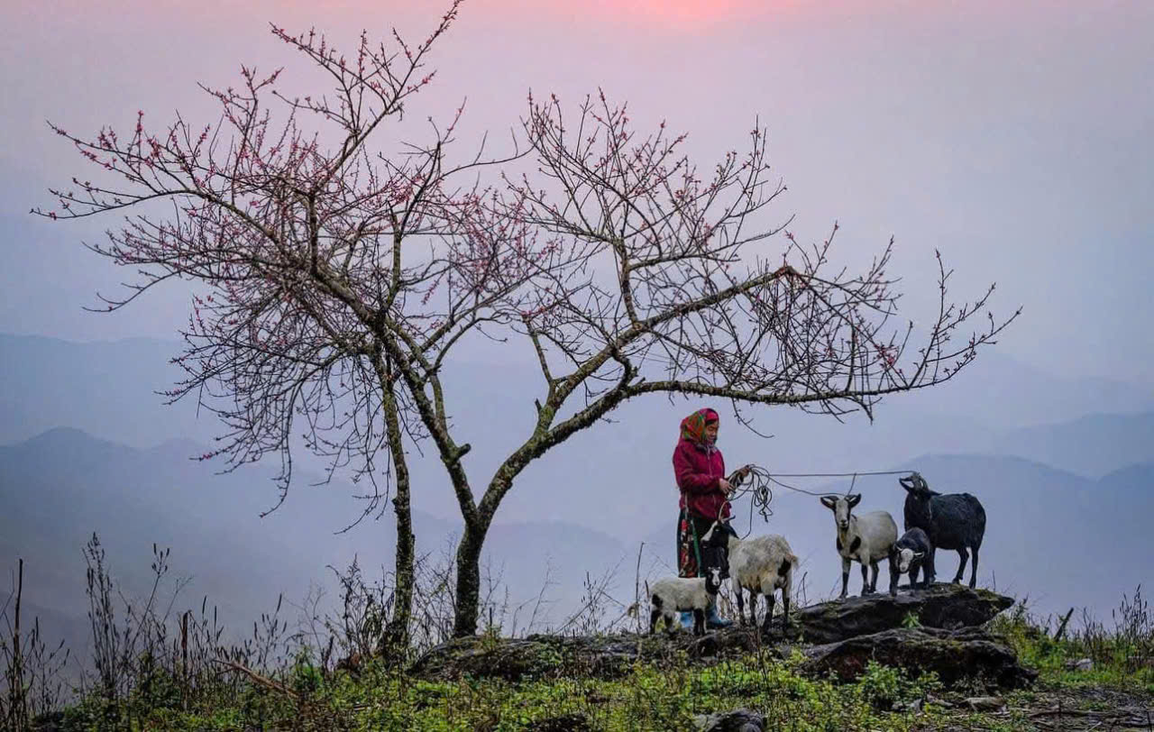 Ethnic culture and daily life in Ha Giang
