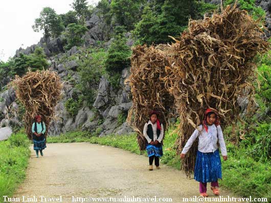 Everyday mountain life