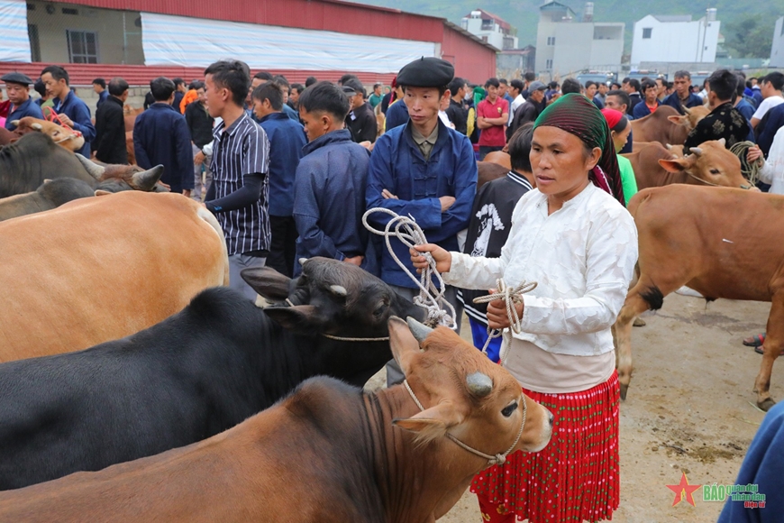 Local market in Ha Giang