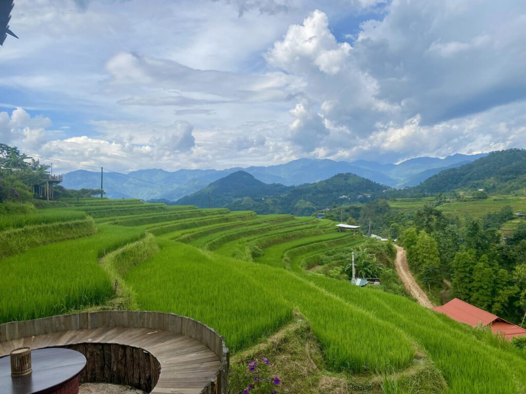 Green terraced rice fields and mountain scenery in Hoang Su Phi, northern Vietnam