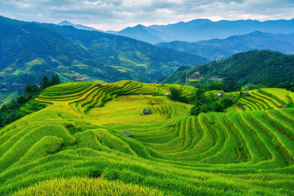 Green rice terraces across the mountain landscape of Hoang Su Phi, northern Vietnam