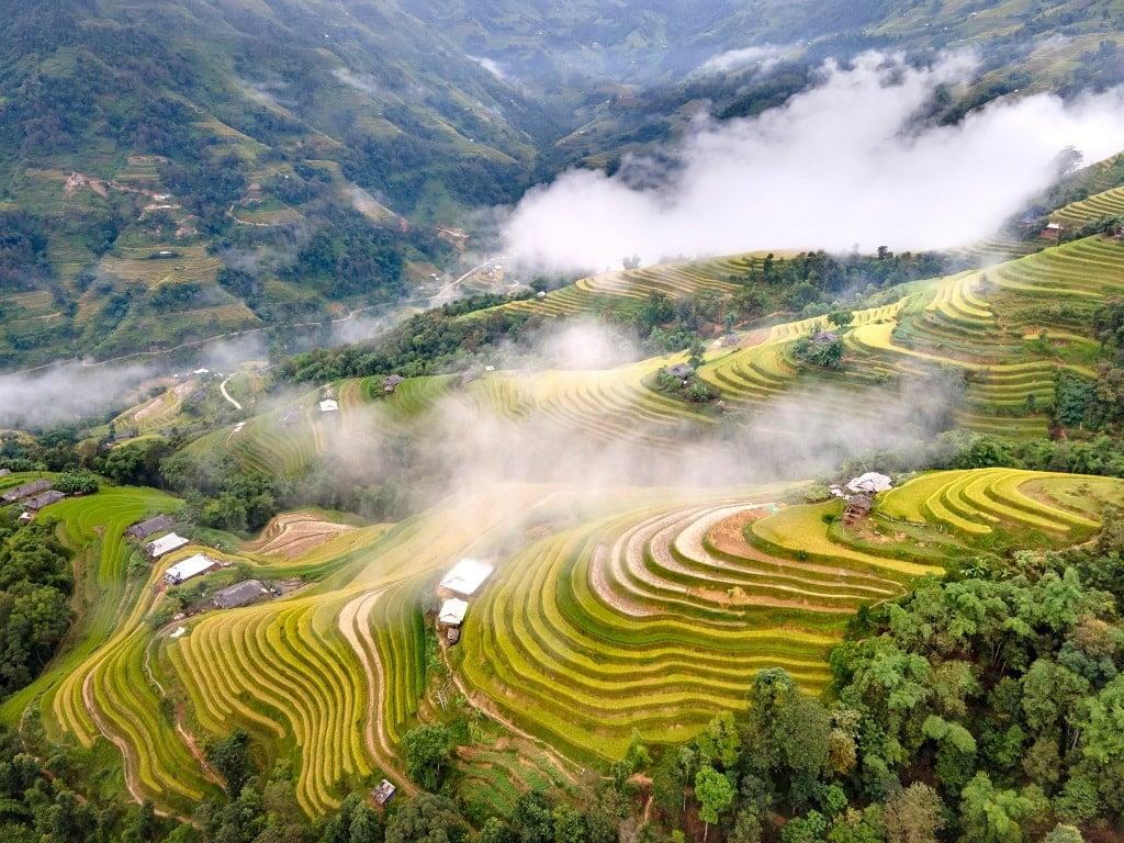 Golden rice terraces in Hoang Su Phi during autumn