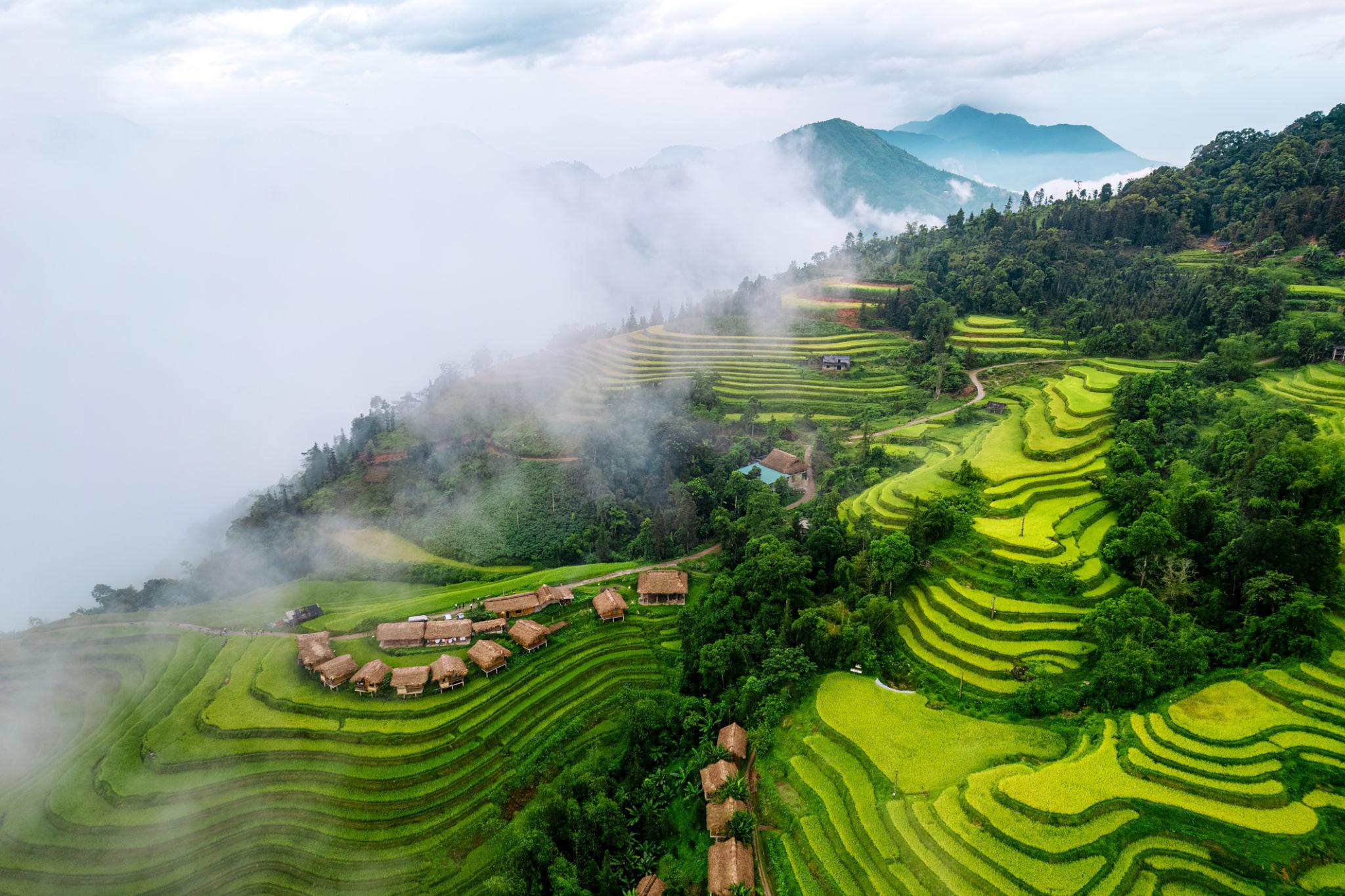 Spring scenery and terraced rice fields in Hoang Su Phi